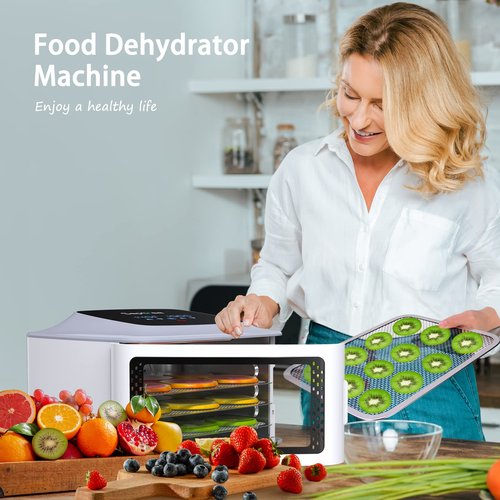 Septree Compact Food Dehydrator, 4 Stainless Steel Trays Fresh Dryer Machine for Jerky Herbs Fruit Veggies Snacks, with Digital Timer | 190F Temperature Control, Great Size for Small Family