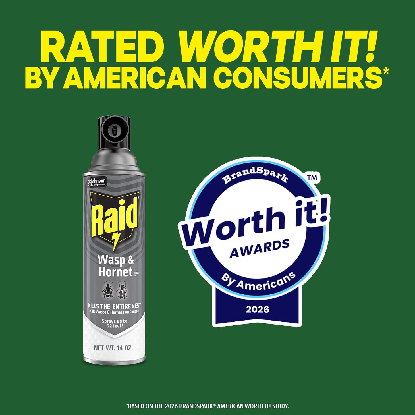 Raid Wasp & Hornet Killer Spray, Bug Killer, Wasp and Hornet Spray Kills the Entire Nest, 14 Oz, 2 Count