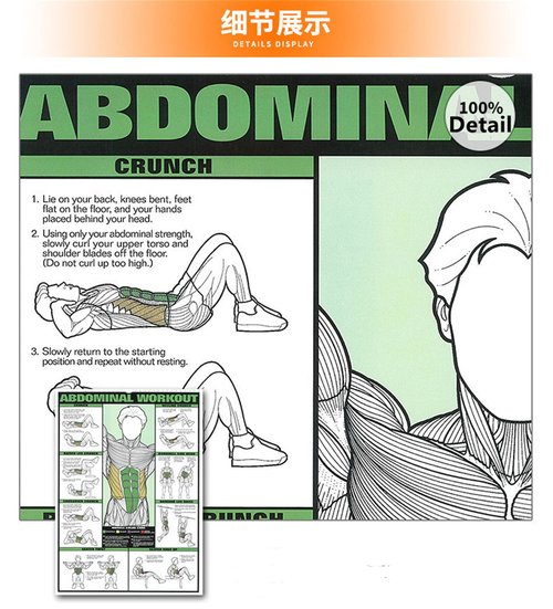 6PCS workout chart posters for a home gym， oil on canvas gym decor fitness dumbbell exercise motivational posters for home gym Exercise Charts Incl Triceps, Shoulder,Leg, Back,Chest, Abdominal workout