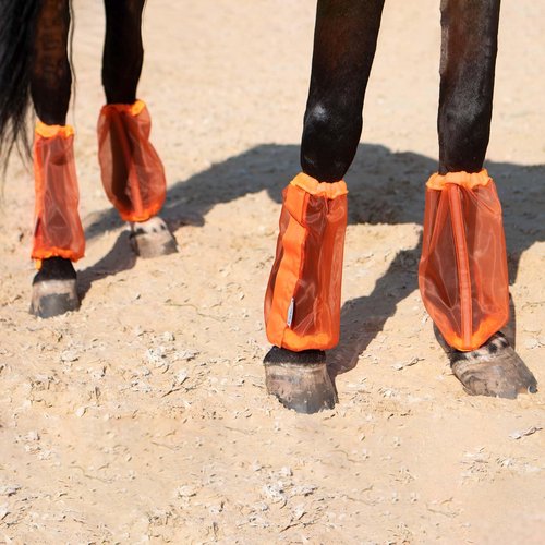 CareMaster Universal Size Horse Leggings Fine Mesh Greatly Reduce Stomping Breathable Horse Boots Leg Wraps (Set of 4) Orange