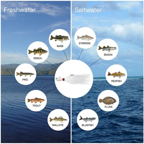 Dr.Fish 3 Pack Bucktail Jig Saltwater Fishing Jig Buck Tail Hair Lure Surf Fishing Bass/Striper/Mackerel/Halibut/Flouder Lure 1oz