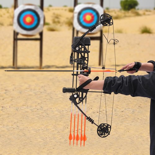 Jiabailie Ar-Chery Hunting Bo-w Set,320 Fps Right Hand Compound Bo-w Ar-Row Set,30-60 lbs Draw Weight Adjustable for Adults and Beginners