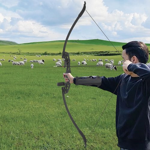 Recurve Bow and Arrow Set with Sight,54.33” Archery Bows for Adults & Youth Beginner Right Hands 40lbs Archery Set for Outdoor Training Practice,5 Arrows,Arm Guard,Finger Guard,Arrow Bag