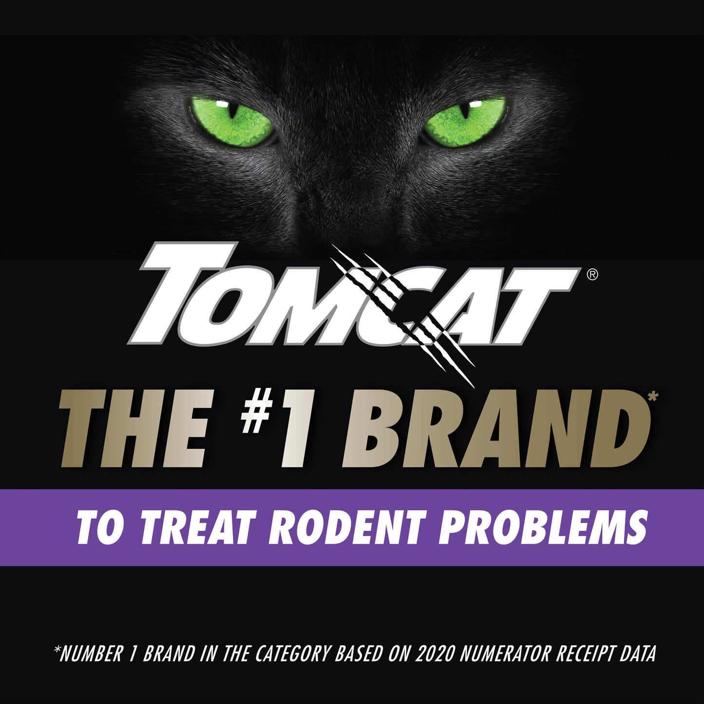 Tomcat Advanced Brand Rat & Mouse Bait with Refillable Station, Indoor and Outdoor Use, 1 Station and 12 Bait Block Refills
