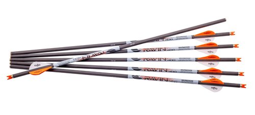 Ravin Carbon Crossbow Arrows 400 Grain .003 - Six Pack, UPC :815942021385
