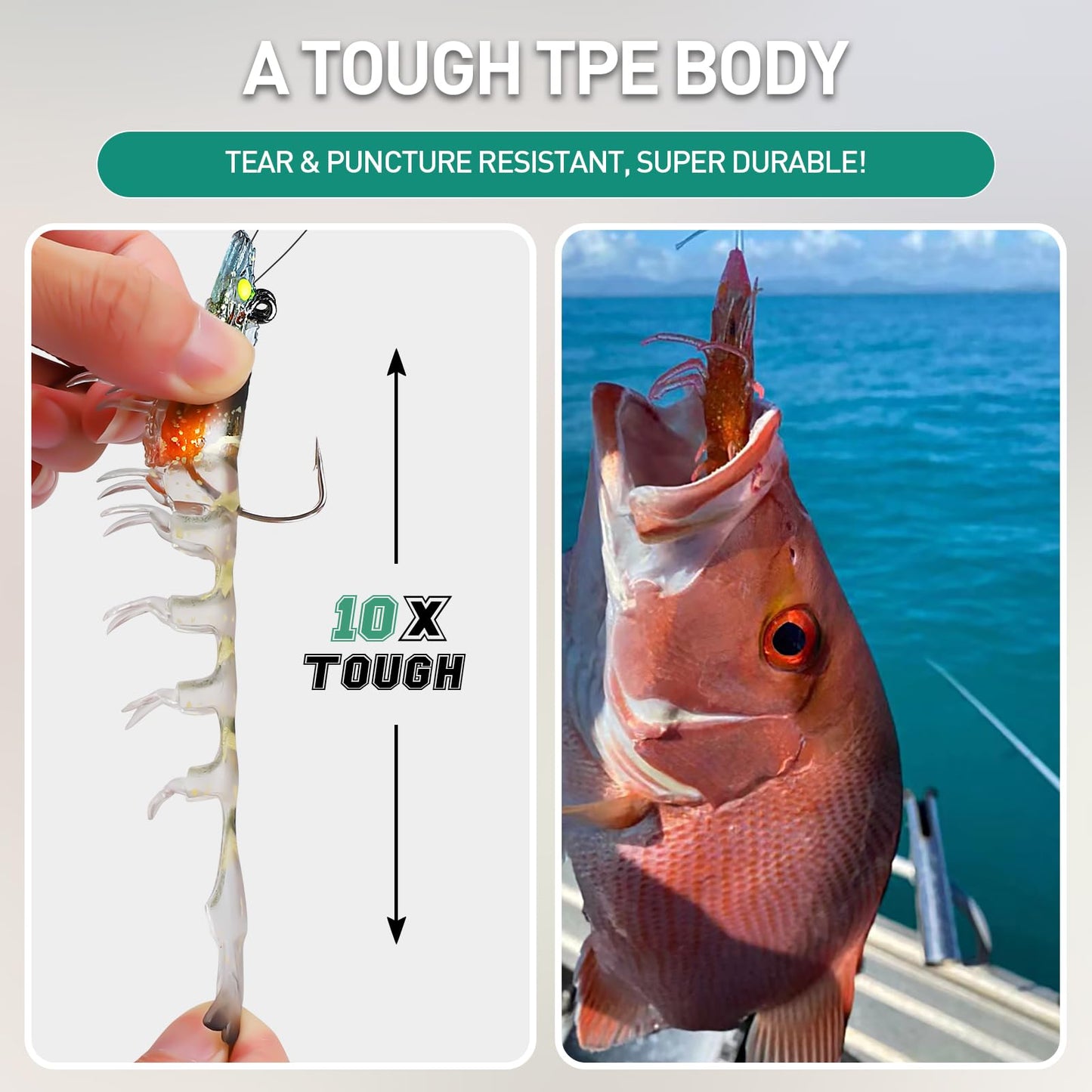 TRUSCEND Duramax Soft Fishing Lures with BKK Hooks, Balanced Action, Tear-Resistant TPE, Pre-Rigged Shrimp & Crayfish Lures for Bass, Trout, Walleye, Crappie, Freshwater Saltwater Pro Fishing Baits