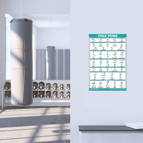 Palace Learning 2 Pack: Yoga Poses Laminated Poster + Dumbbell Exercise Playing Cards