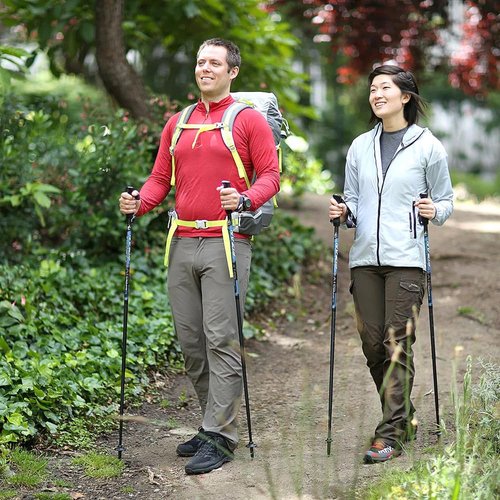 Fizan Compact 3 Trekking Poles – 5.6 oz Ultralight, Backpacking, Thru Hiking Poles, Adjustable, Collapsible, Customized Fit, Cork Grips, Aluminum Walking Sticks (Compact 3 / Cork/Blue)