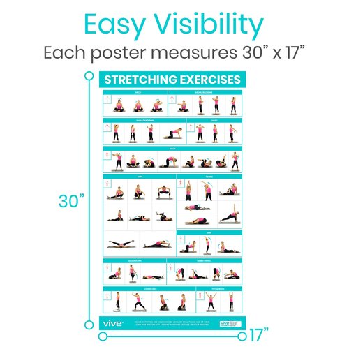 Vive Yoga Poses + Stretching Exercises + Resistance Band Workouts Poster for Home Gym (3 Pack) - 149 Illustrations for Flexibility, Strength, Core, Exercising, Pilates Mat - Work Chart Set, Laminated 30" x 17"