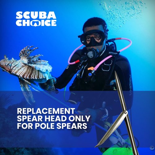 Scuba Choice Spearfishing 12" Stainless Steel Pole Spear Tip Single Barb Head – Durable Replacement for Palantic Fiberglass & Carbon Fiber Pole Spears