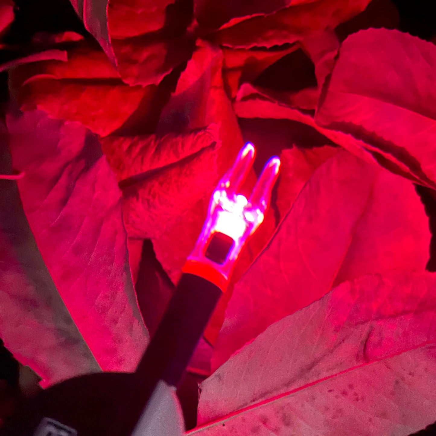 LEANPRO 6Pack Lighted Nocks for Arrows .204".233".244".246" Inside Diameter Lighted (X Lighted Nocks with ON/Off Switch, Red)