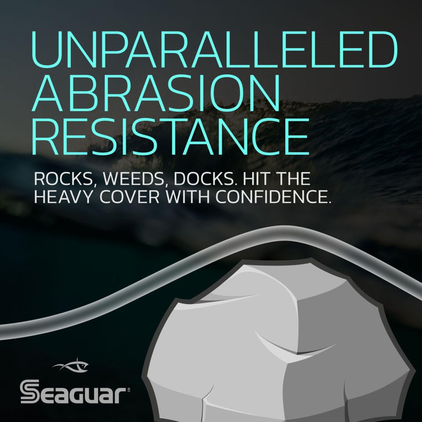 Seaguar Red Label 100% Fluorocarbon Fishing Line 12lbs, 200yds, Clear - 12RM200
