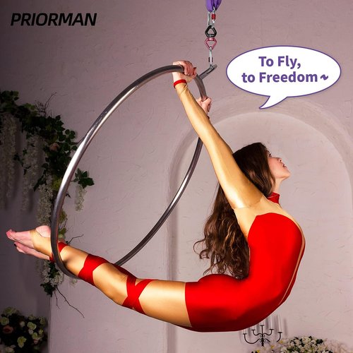 PRIORMAN Lyra Hoop Aerial Hoop Set with Rigging Hardware Single Stainless Steel Hoop Circus Great for Dancing Studio, Aerial Fitness (Classical Matte Black， Dia: 90cm-Tube Dia:25mm)
