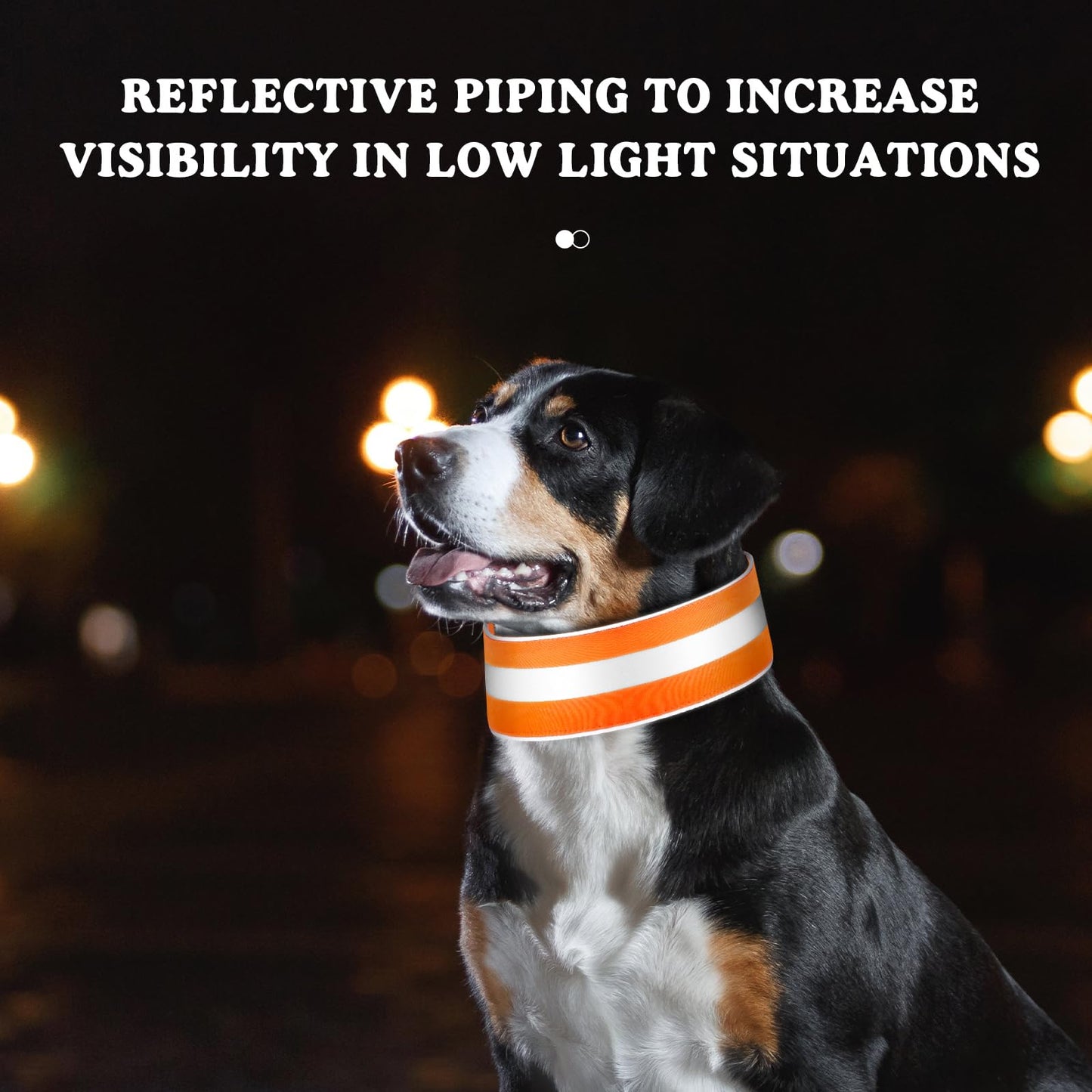 Paterr 2 Pcs Reflective Dog Collar High Visibility Adjustable Pet Collars with Quick Release Fastener Comfortable Dog Walking Accessories for Small Medium Large Pet, Orange, Fluorescent Green(Stripe)