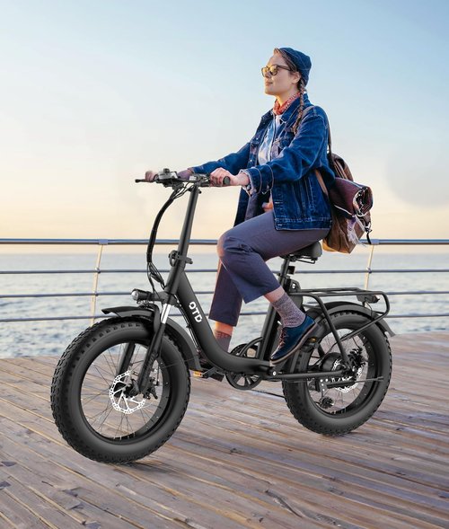 OTD Electric Bike for Adults with 800W Brushless Motor, 40Miles Commuting Electric Bike with 624Wh Removable Battery, 7-Speed, 20" Fat Tires and Front Fork Suspension,with Password Lock
