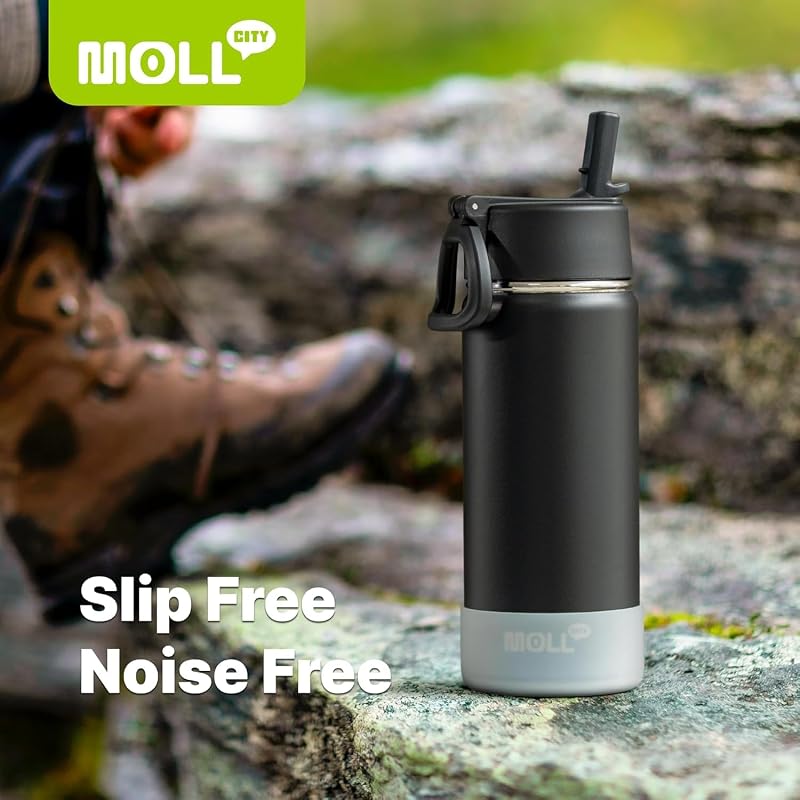 Water Bottle with Straw - 12 Oz Black, BPA Free, 18/8 Stainless Steel, Mollcity