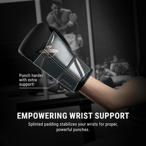 Hayabusa Sport Boxing Gloves for Men and Women – Dual-Splinted Wrist Support, Multi-Density Foam Padding, Contoured Fit – Ideal for Boxing, Kickboxing, and Muay Thai Training - Black/Gold, 12oz
