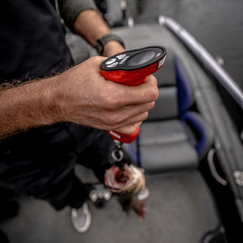 Bubba Smart Fish Scale LITE, Tournament Fishing Tool with Bluetooth App Compatability, LED Screen, 60lb Limit