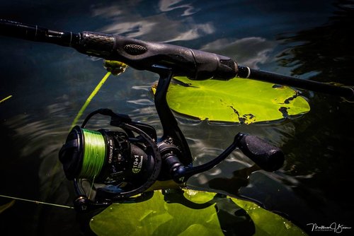Piscifun Carbon X Spinning Reels, Light to 7.7oz, 6.2:1 High Speed Gear Ratio, Carbon Frame and Rotor, 10+1 Shielded BB, Smooth Powerful Freshwater Spinning Fishing Reel, 2000 Series