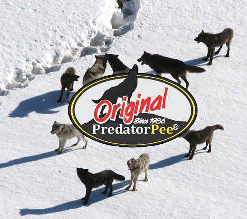 PredatorPee 100% Fox Urine - Territorial Marking Scent - Creates Illusion That Fox is Nearby - 16 oz