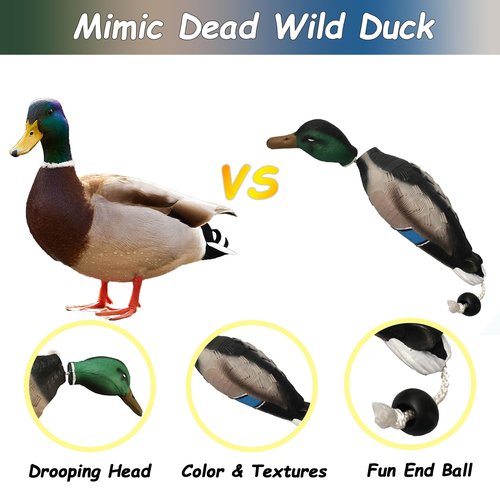 fingig 2 Pcs Duck Dummy Bumper Toys for Hunting Retriever Dog Training, Dog Retriever Outdoor Training Toy ，Hunting Duck Recognition Trainers, Foam Pet Interactive Toys
