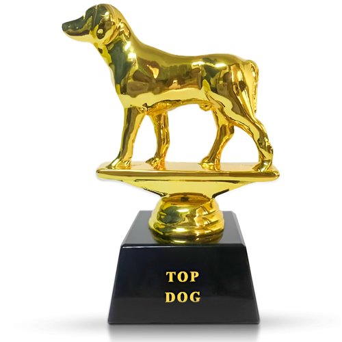 Vaulted Skulls & Co Top Dog Trophy | Dog Trophy Award | Gold Dog Competition Award | Sports Team Trophies | Funny Office Trophy | G.O.A.T Dog Trophy | Gold/Black | Small Trophy | 3”