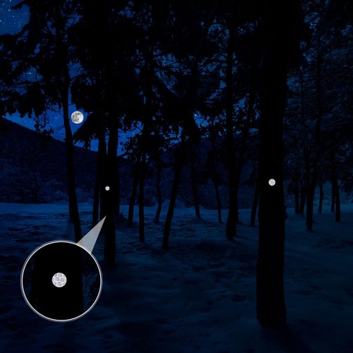 Fullhawl Reflective Tacks Trail Marking Tacks Glow Reflective Mark Trail Markers Thumb Nails for Hunting Hiking Camping Tree Stand(Sliver,100)