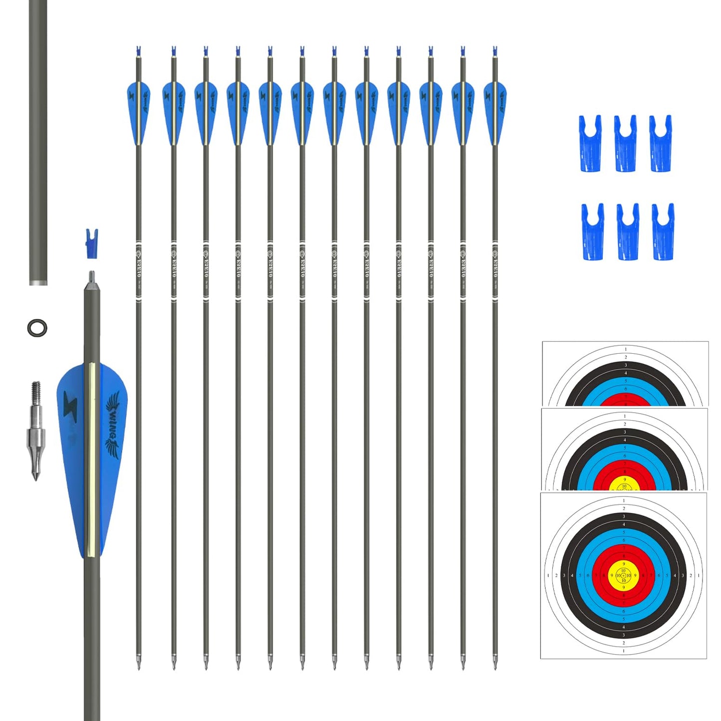 31inch Carbon Arrow Archery Targeting Practice Hunting Arrows for Compound & Recurve Bow with Removable Tips(Pack of 12) (Blue White)