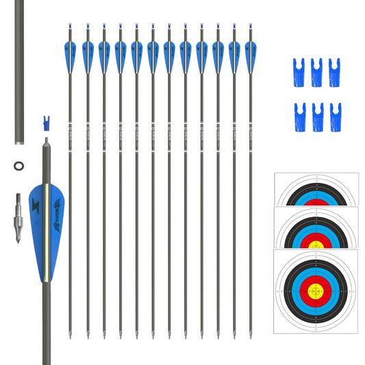 31inch Carbon Arrow Archery Targeting Practice Hunting Arrows for Compound & Recurve Bow with Removable Tips(Pack of 12) (Blue White)