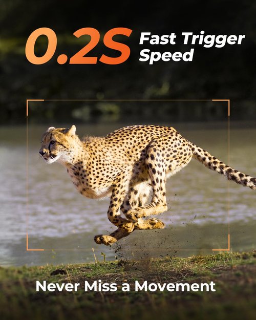 Loatos Cellular Trail Camera 2 Packs, Built-in SIM Card 4G LTE Trail Cameras with Night Vision Motion Activated Waterproof 2K Live View 0.2s Speed Game Camera with Unlimited Data Plan Solar Powered