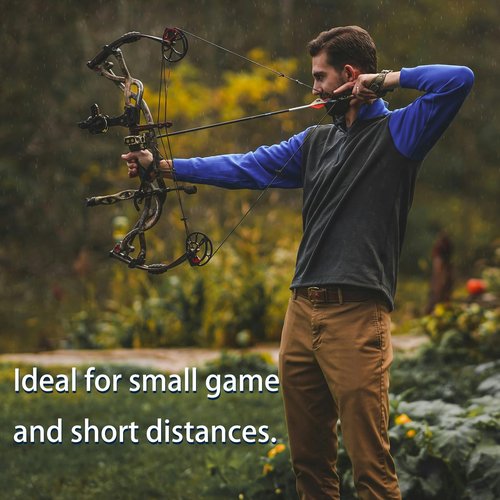 SOPOGER 12pcs Traditional Archery Broadheads - 100/125 Grain Turkey Broadheads Arrow Tips Carbon Steel Field Tips Hunting Arrowheads for Recurve Compound and Crossbow (100grain Swallow-Tailed)