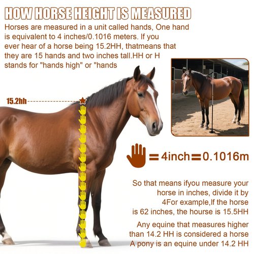 Zovcsxn Horse Measuring Meter Stick Pole Bending Poles for Horses Accurately Measure The Height of Horse Measures 7H to 18H