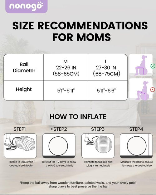 nonogo Birthing Ball for Pregnancy with Resistance Bands- Exercise Ball for Working Out, Yoga, Physical Therapy, Maternity Physio, Balance Stability Ball with Pump