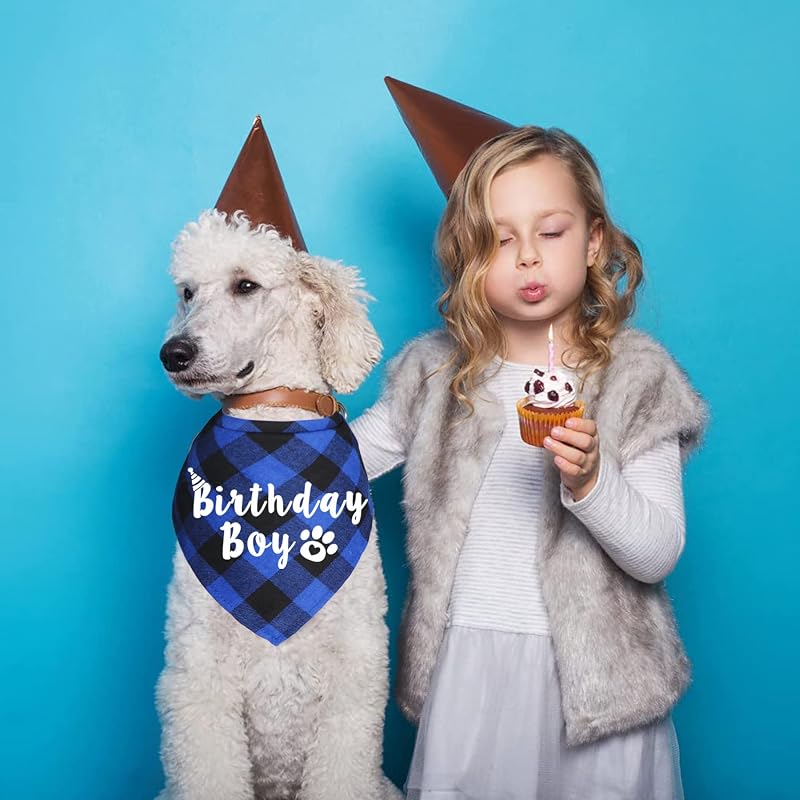 Birthday Boy/Girl Buffalo Plaid Dog Bandana - Blue & Pink (Variation of THIS listing)