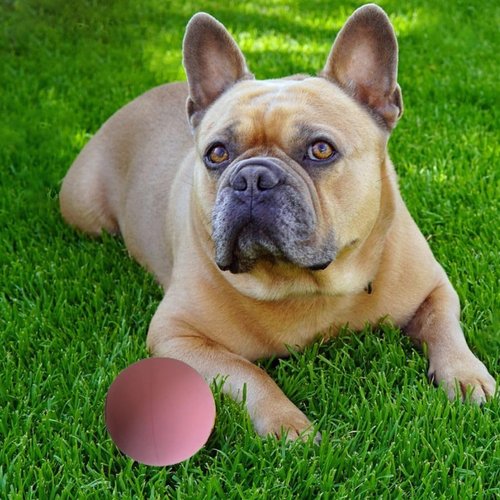 Sky Bounce Color Rubber Handballs for Recreational Handball, Stickball, Racquetball, Catch, Fetch, and Many More Games, 2 1/4-Inch, Pink, 3 Count