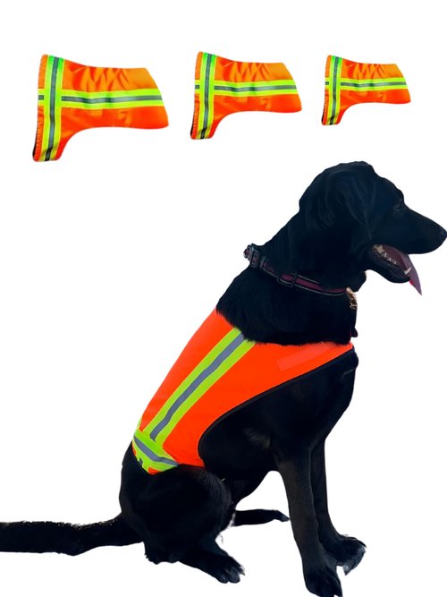 BUDDY GLOW Reflective Dog Vest – Fluorescent Orange | High-Visibility, Water-Resistant Safety Jacket with Adjustable Fit for Day & Night Walks, Hiking, Hunting, and Outdoor Use (Large)