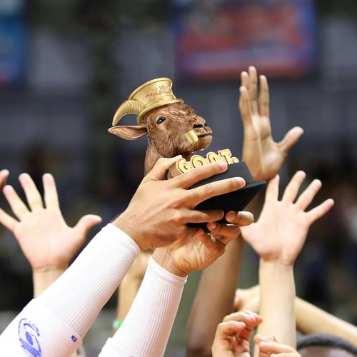 Zhengmy Goat Trophy Award Winner Trophies for Adults G. O. A. T. Greatest of All Time Funny Appreciation Gift Recognition Gift Plaque for Sports Employee Teacher Boss Friend Winner(Bronze Golden)