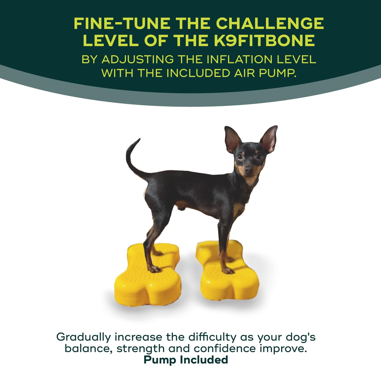 FitPaws® Mini K9FITbone® Dog Balance and Exercise Equipment, Mango, 2-Pack