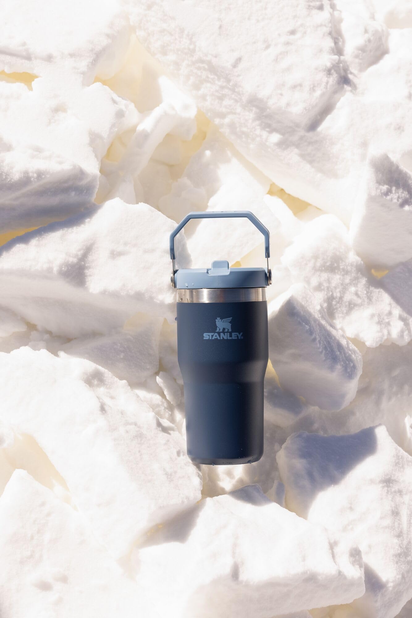 STANLEY IceFlow 2.0 Flip Straw Tumbler with Handle 20 oz | Twist On Lid and Flip Up Straw | Leak Resistant Water Bottle | Insulated Stainless Steel | BPA-Free | Ash