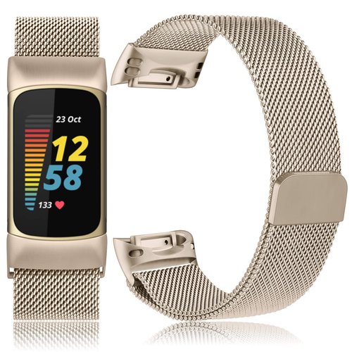 Metal Band Compatible with Fitbit Charge 6 Bands Women Men, Stainless Steel Mesh Loop Magnetic Replacement Bracelet Strap for Fitbit Charge 6 Fitness Tracker (Champagne)
