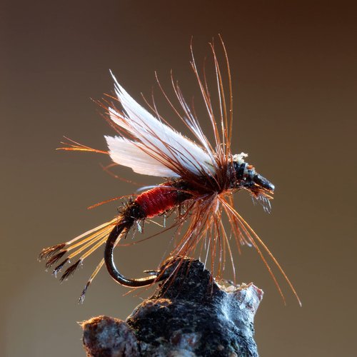 Goture 30pcs Lures Fly Fishing Flies Kit - Trout Bass Salmon Fishing Assortment - Dry Wet Streamers Nymphs