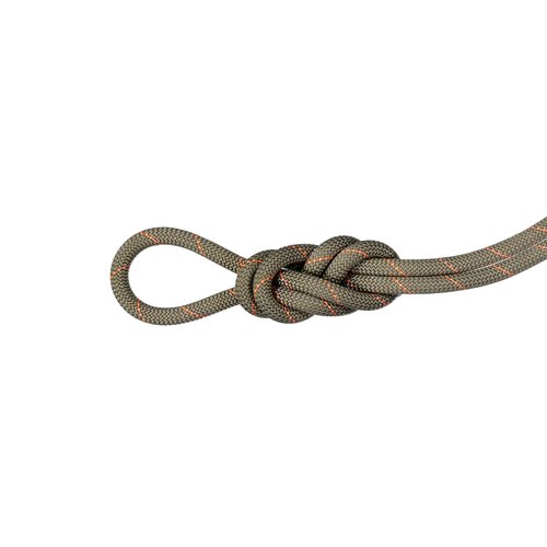 Mammut 9.9 Gym Workhorse Classic Rope 40 m