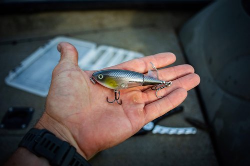 Heddon Spin'N Image - Black Shiner - 3.5"