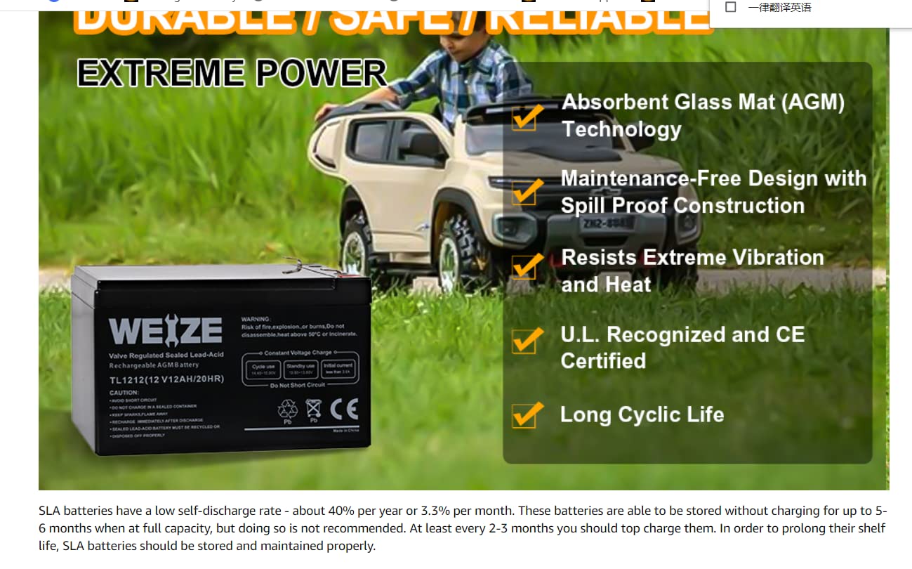 WEIZE 12 Volt 12 Ah Rechargeable Battery with F2 Terminals, Sealed Lead Acid (SLA) AGM Deep Cycle Battery Replaces BP12-12,GP12120,GS12V12AH,6-DW-12, 2 Pack