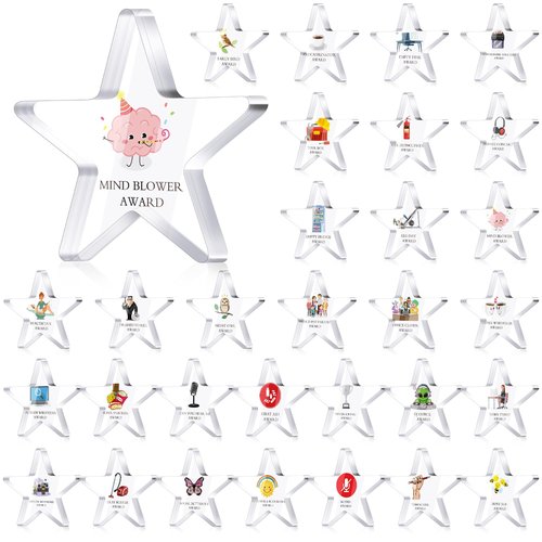 30 Pcs Funny Appreciation Acrylic Award Trophy, Acrylic Coworker Appreciation Award Thank You Trophy Clear Reward Medallions Gifts for Office New Team Prize Retirement Present(Employee)