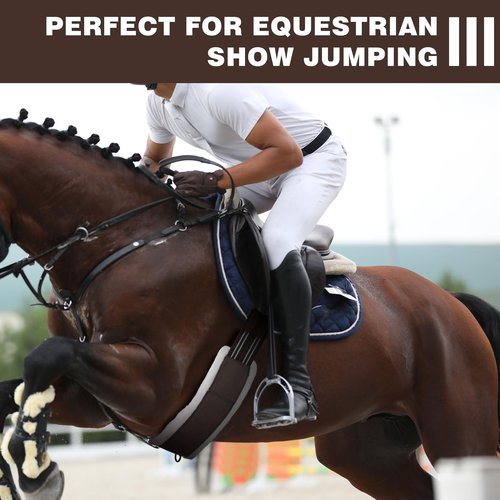 Yeyeplum Brown English Girth for Horses Sizes 44-52 Inch Fleece Padded Dressage Horse Girth for English Saddle, Double Elastic and Stainless Steel Buckles, Horse Competitions Riding(46 Inch)