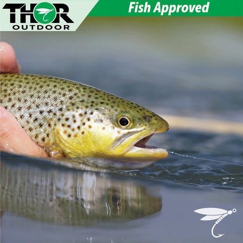 Thor Outdoor 6 Pc Squirmy Wormy Set, Tan Size #14 - Barbless Wet Worm Fly Fishing Flies for Trout, Panfish, Bass