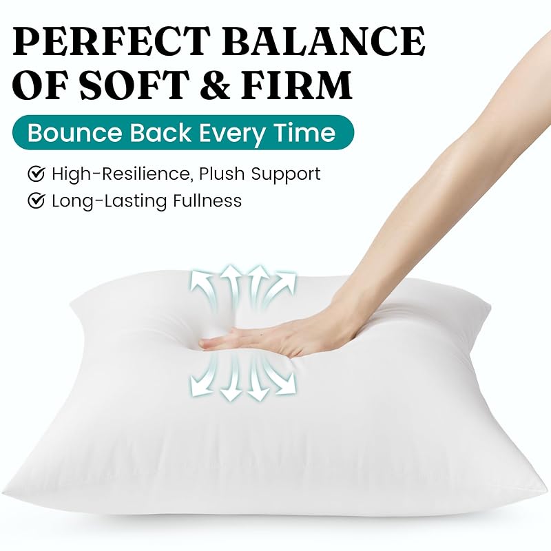 Oubonun 22x22 Outdoor Throw Pillow Inserts - Set of 2 Waterproof Cushions, 22x22 Inch Variation