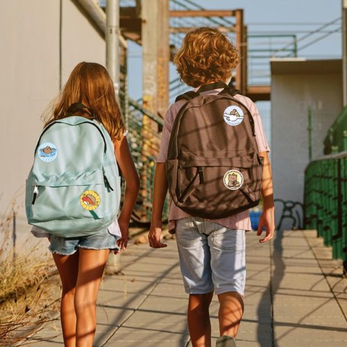 LJJINGXS Capybara Gift Set for Enthusiast, Including Capybara Drawstring Bag, 1 Wallet,1 Sticky Note,1 Lanyard, 4Keychains, 4 Button Pins, 4 Bookmark, 50 Capybara Stickers.