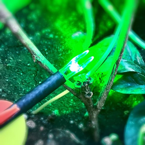 XHYCKJ 12PCS G Lighted Nocks for Arrows with .165 .204 .233 .244 .246 Inside Diameter Bolts with X, H, S, GT Bushings (12, Green)